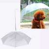 Läbipaistev vihmavari koera jaoks